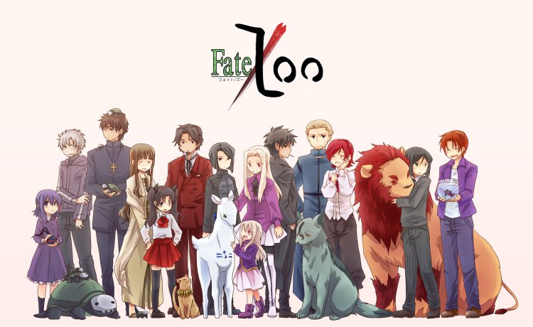 fate zero einzbern consultation room special